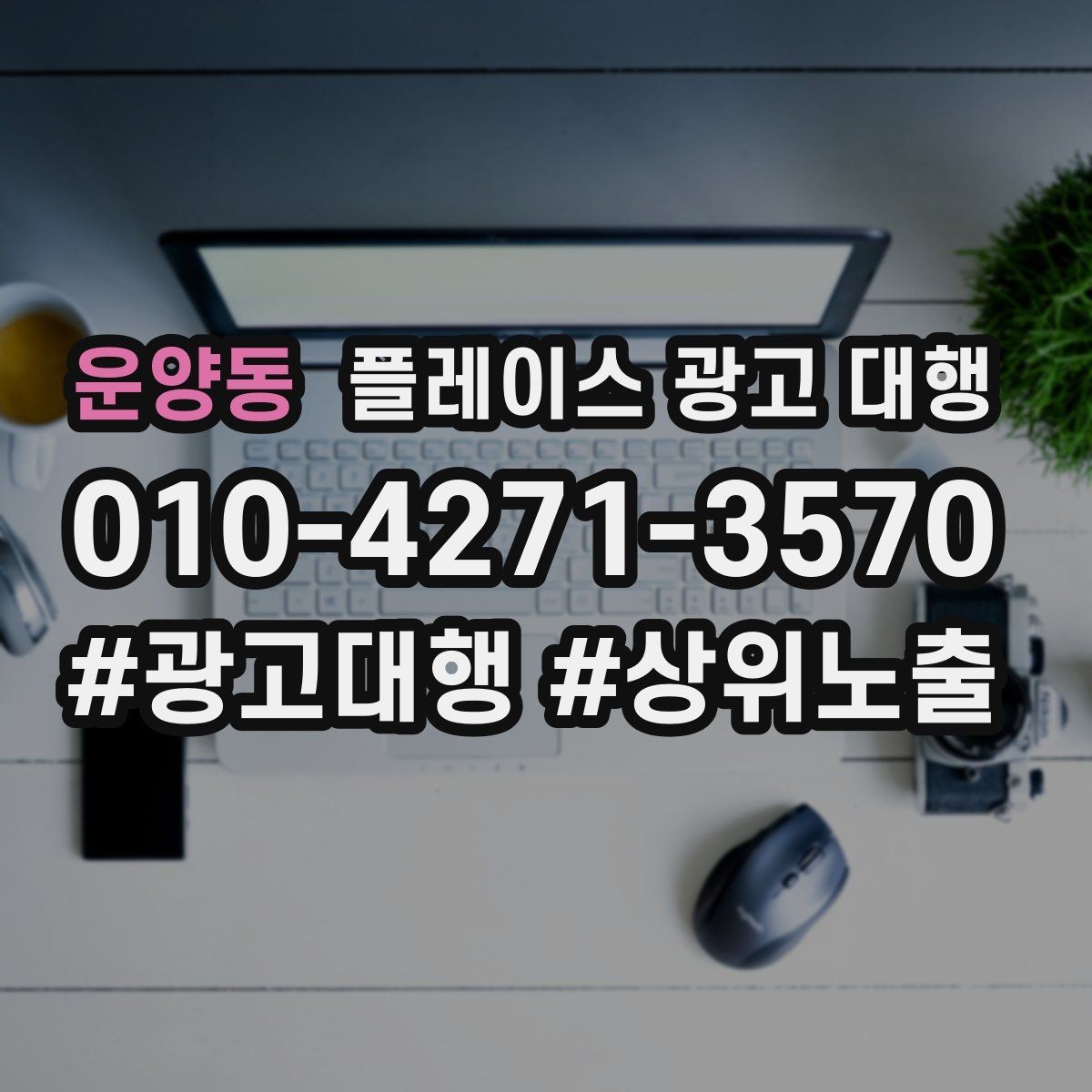 운양동 플레이스 광고 대행 사례에서 배우는 운영 포인트