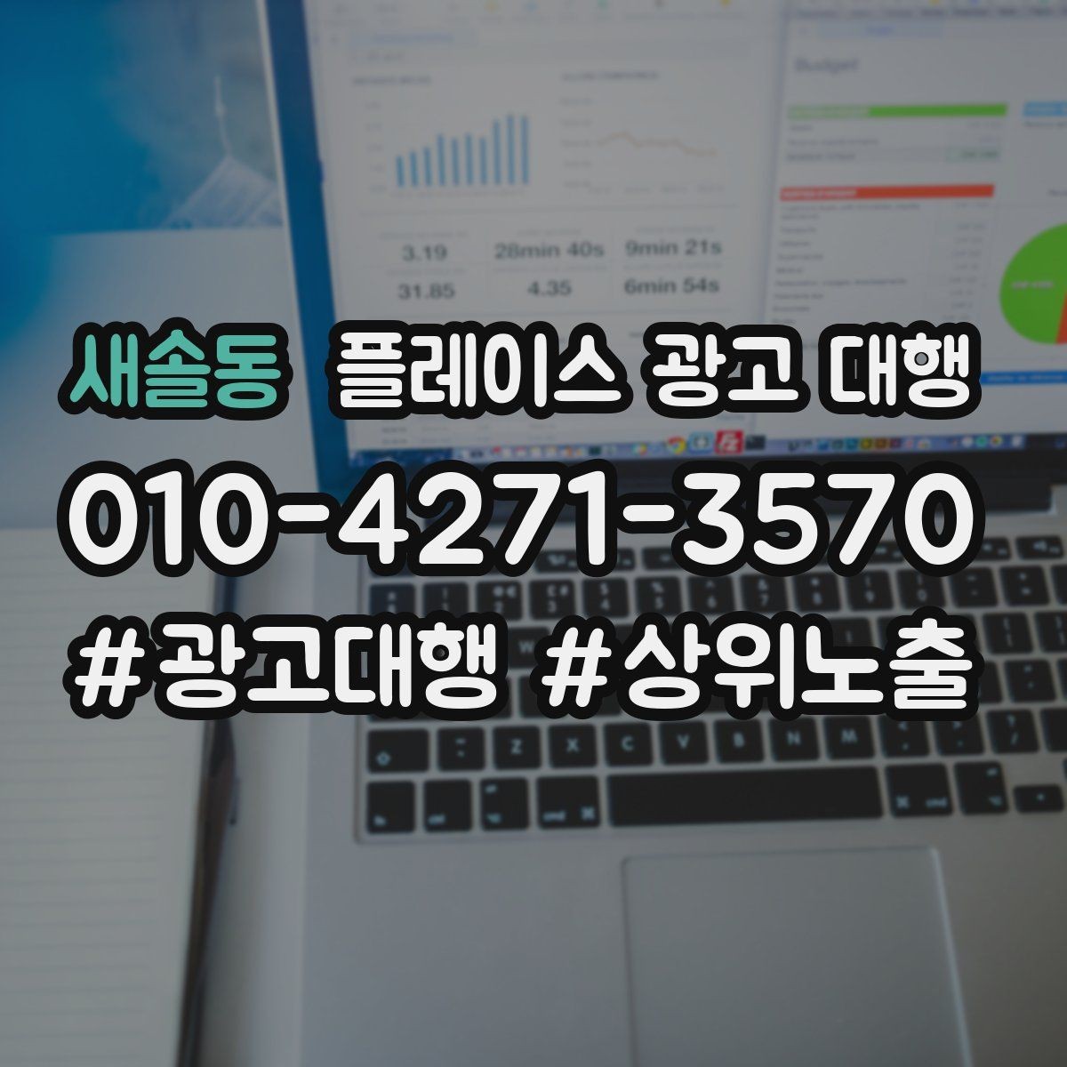 새솔동 플레이스 광고 대행 지역 상권 데이터 활용법