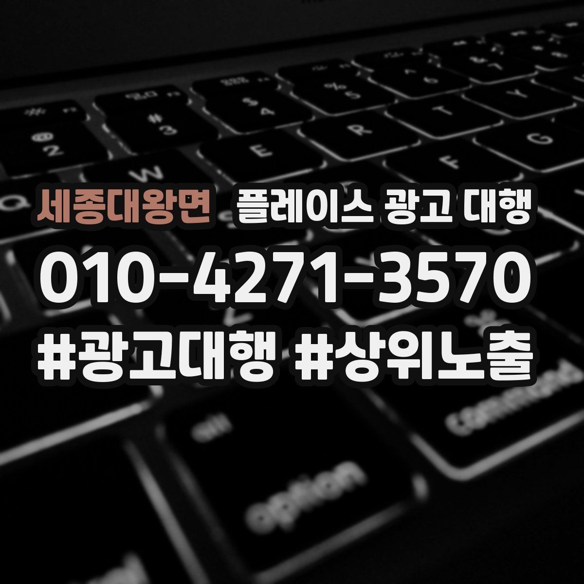 세종대왕면 플레이스 광고 대행 진행 후 확인해야 할 결과 지표