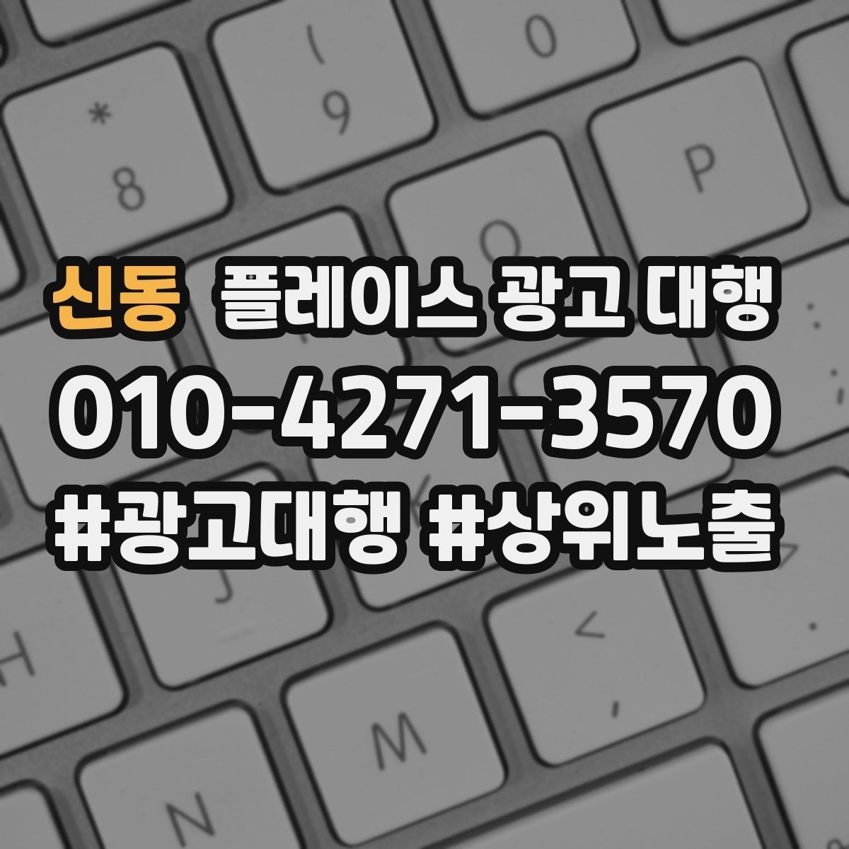 신동 플레이스 광고 대행 업종 특성에 맞춘 운영 예시