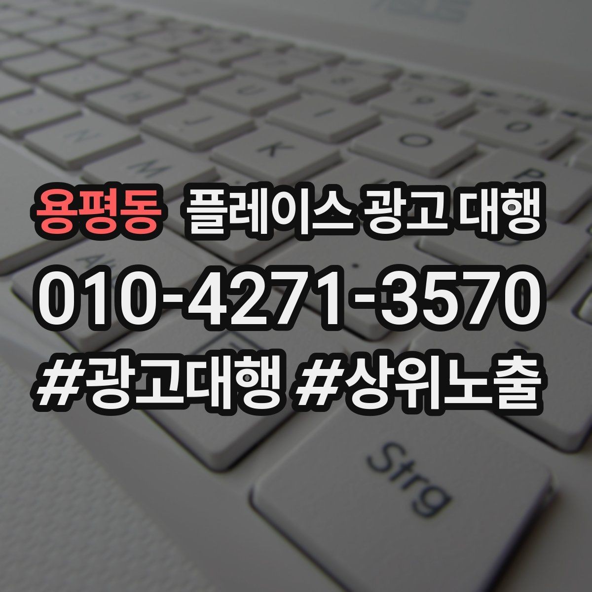용평동 플레이스 광고 대행 성과가 달라지는 운영 차이