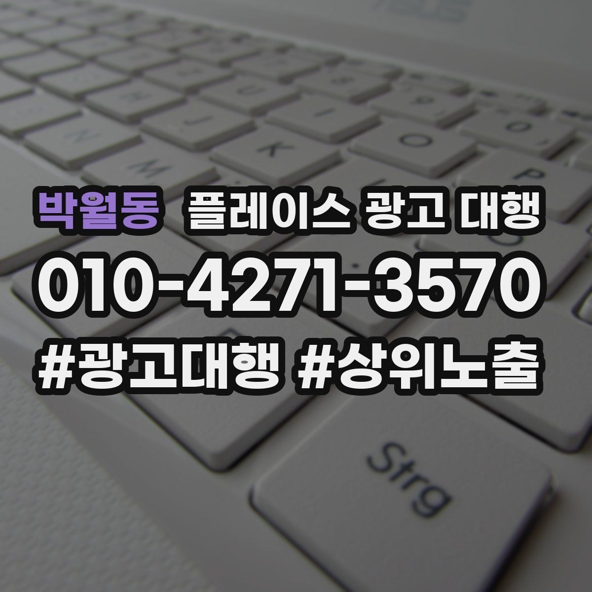 박월동 플레이스 광고 대행 성과를 살펴보는 방법