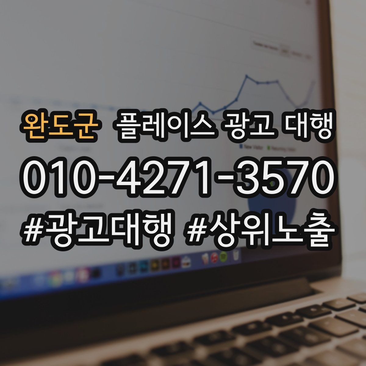 완도군 플레이스 광고 대행 후 반응을 확인하는 기준