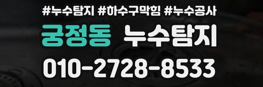 궁정동 누수탐지업체