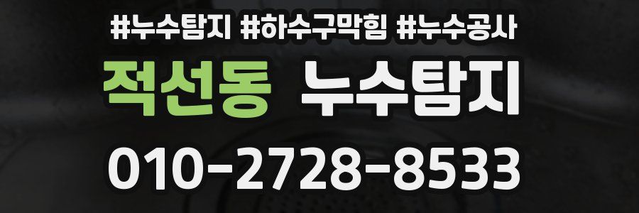 적선동 누수탐지업체