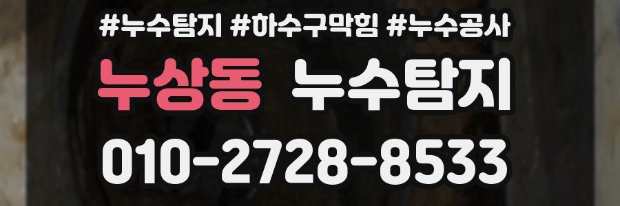 누상동 누수탐지업체