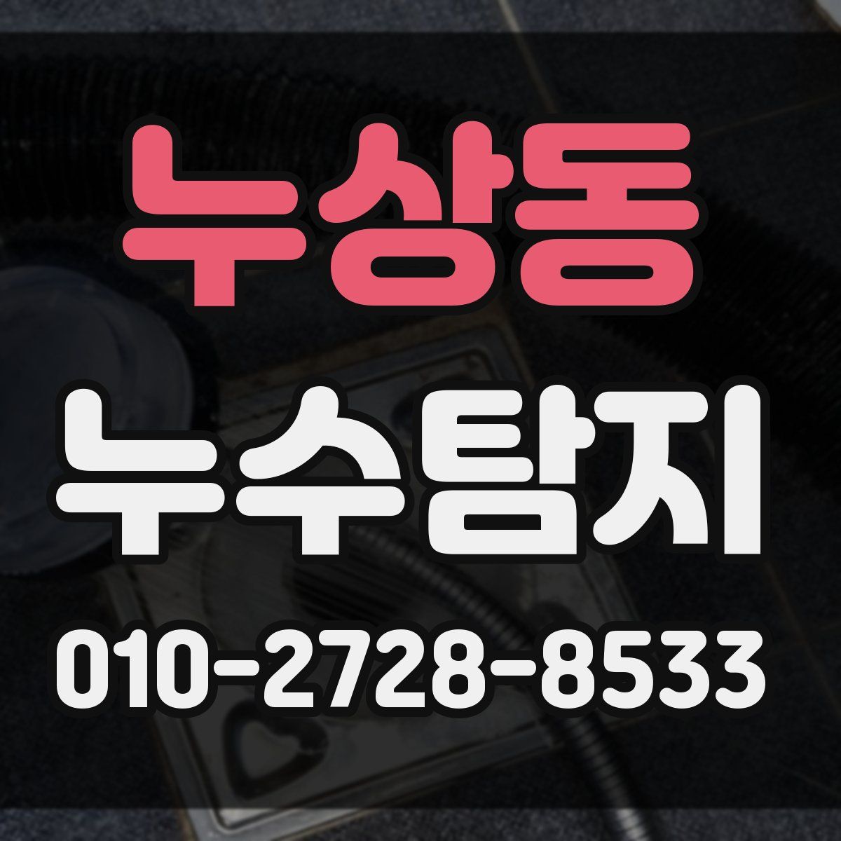 누상동 누수탐지