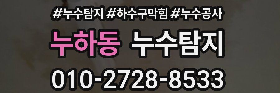 누하동 누수탐지업체