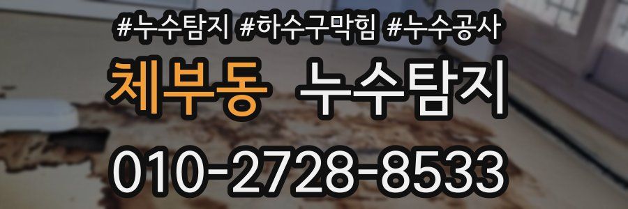 체부동 누수탐지업체