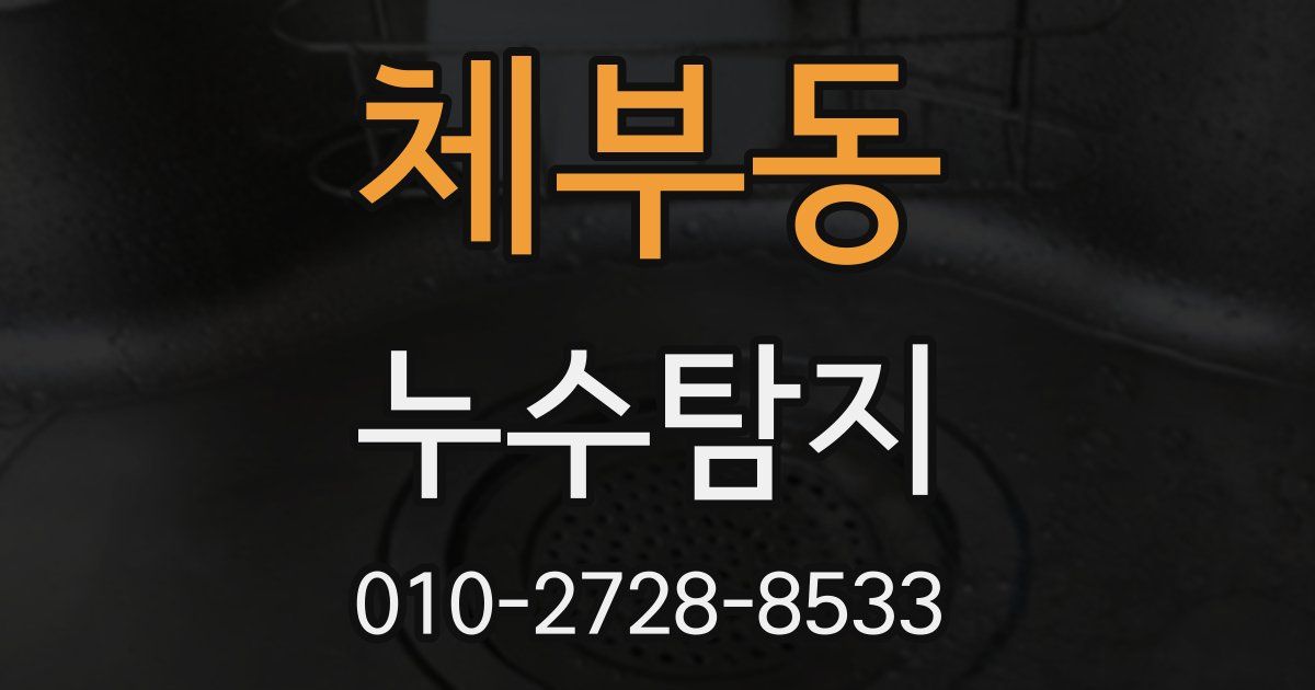체부동 누수공사