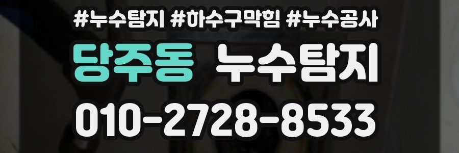 당주동 누수탐지업체