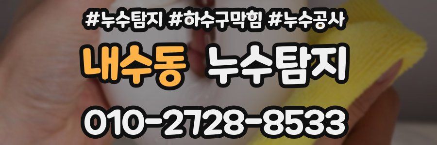 내수동 누수탐지업체