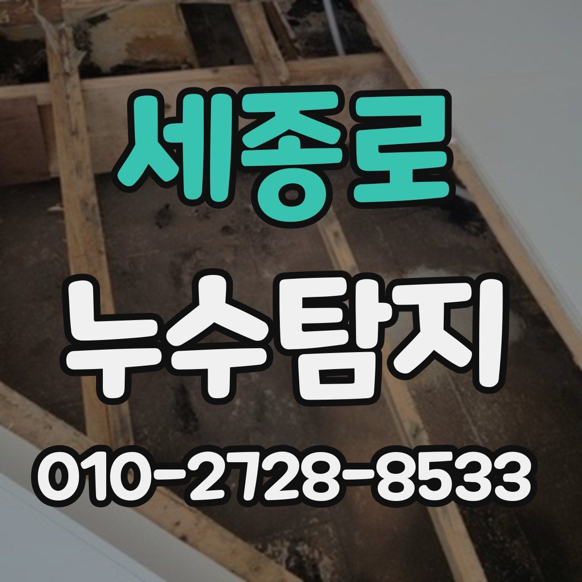 세종로 누수탐지
