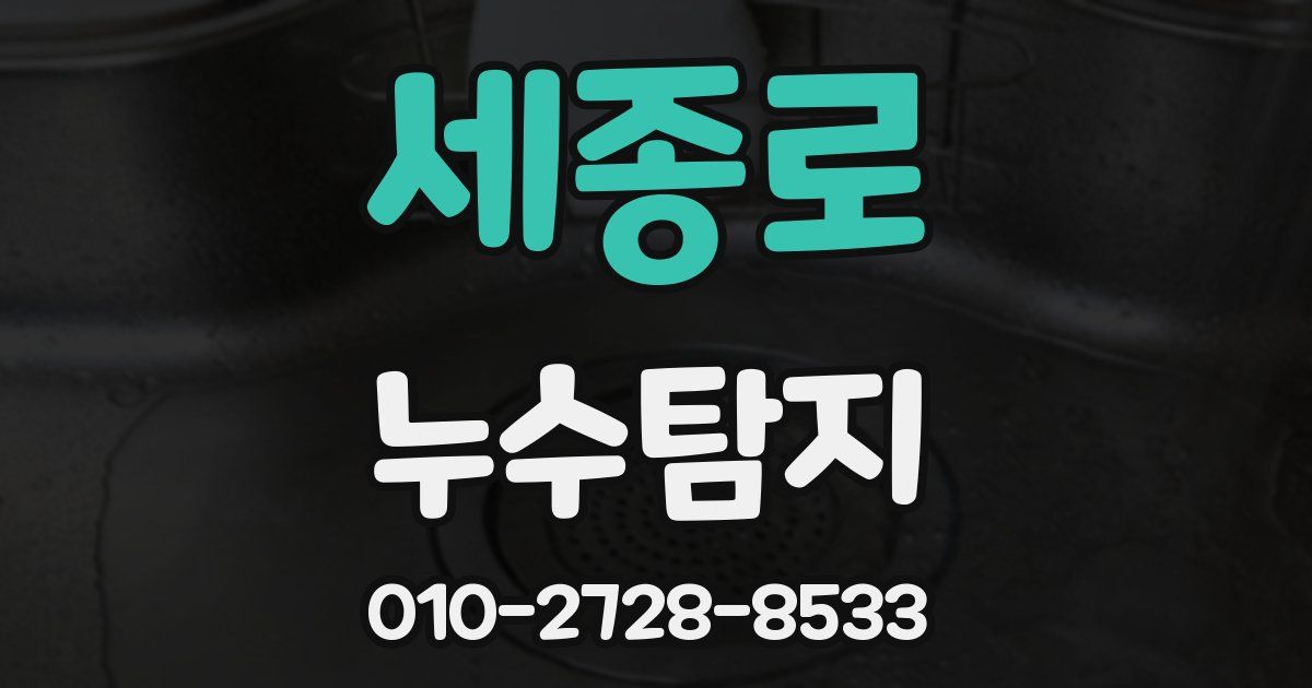 세종로 누수공사