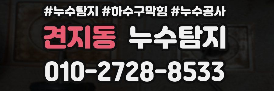 견지동 누수탐지업체