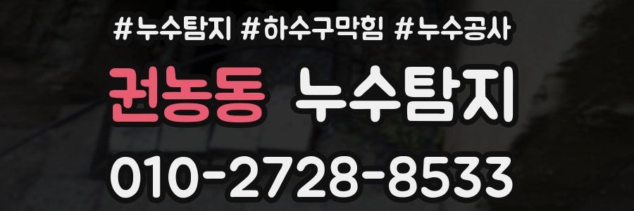 권농동 누수탐지업체