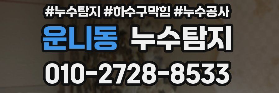 운니동 누수탐지업체