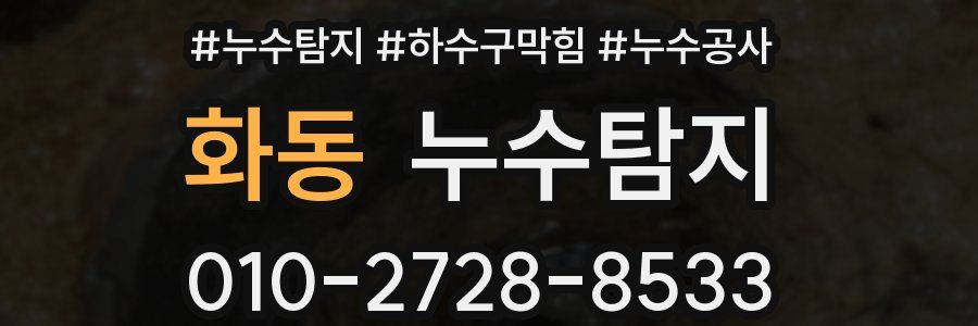 화동 누수탐지업체