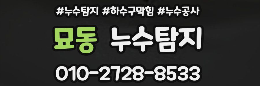 묘동 누수탐지업체
