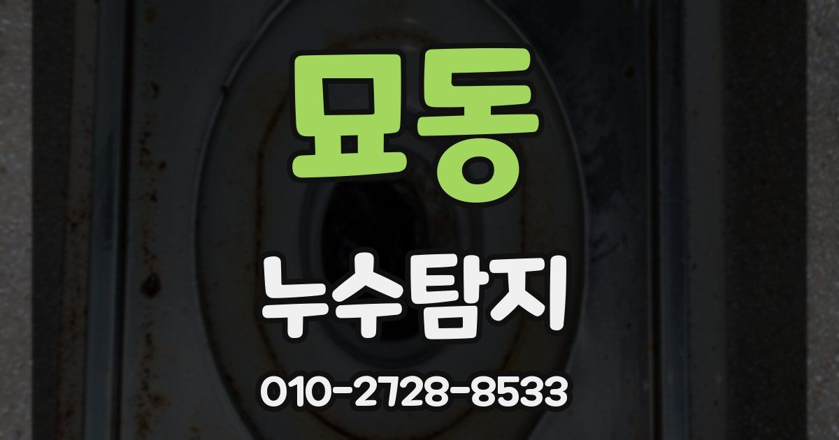 묘동 누수공사