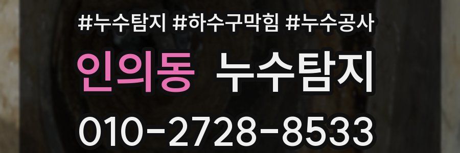 인의동 누수탐지업체