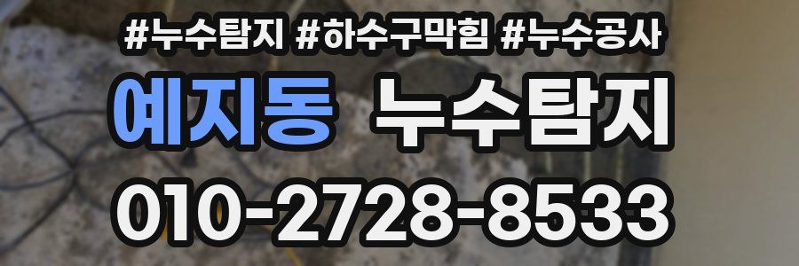 예지동 누수탐지업체