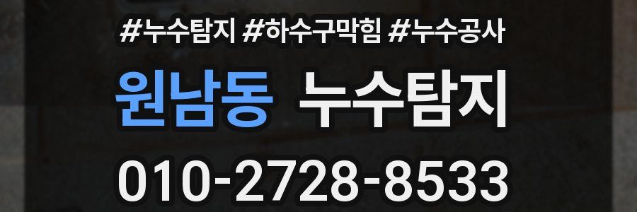 원남동 누수탐지업체