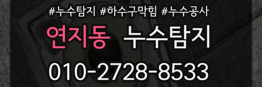 연지동 누수탐지업체