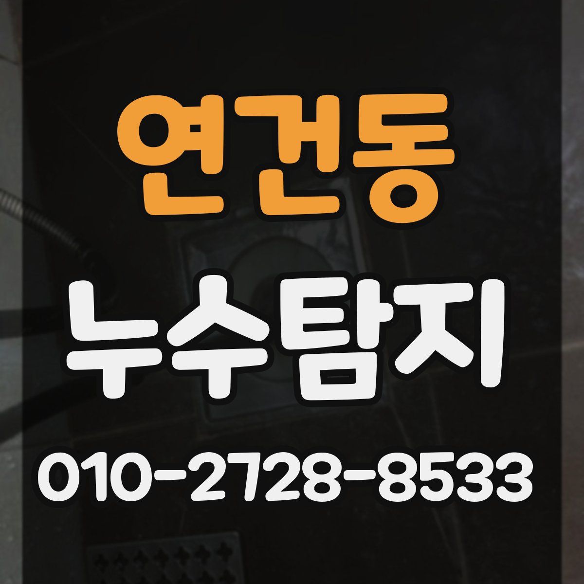 연건동 누수탐지