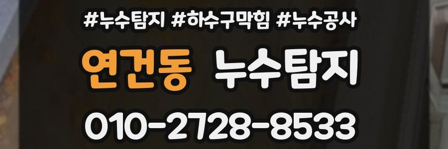 연건동 누수탐지업체