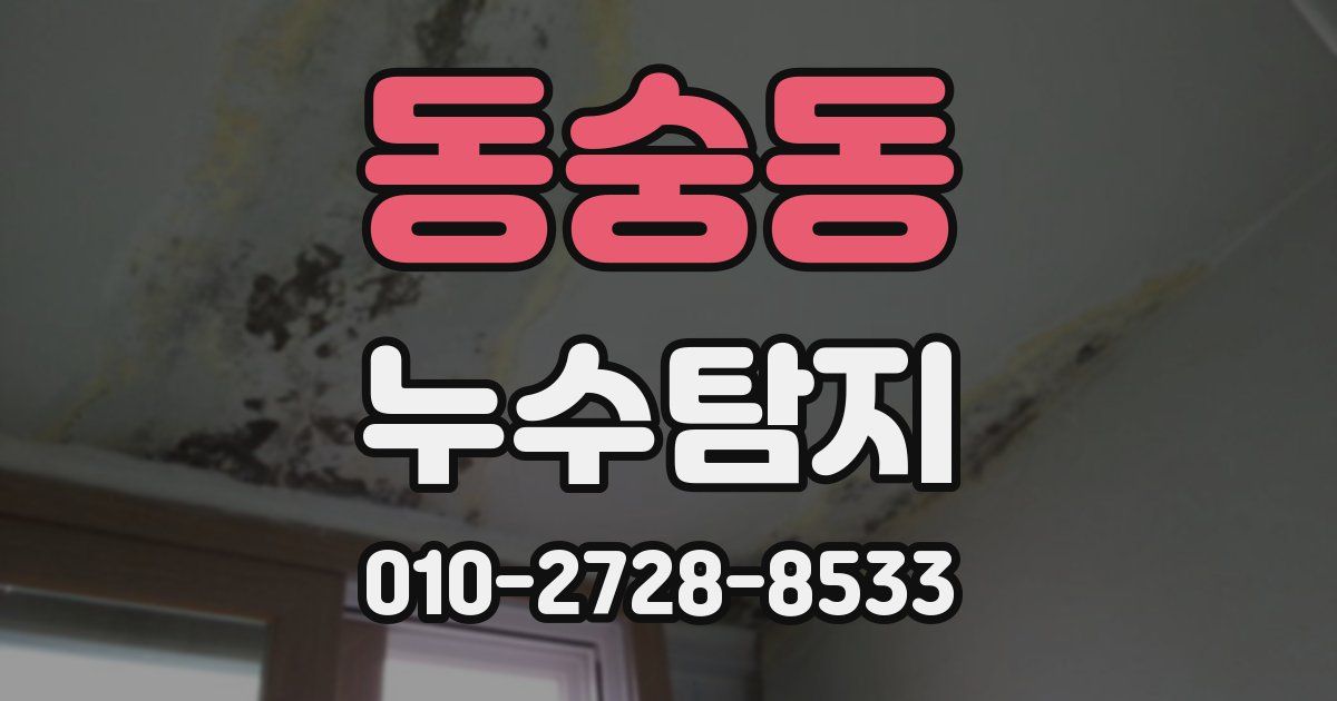 동숭동 누수공사