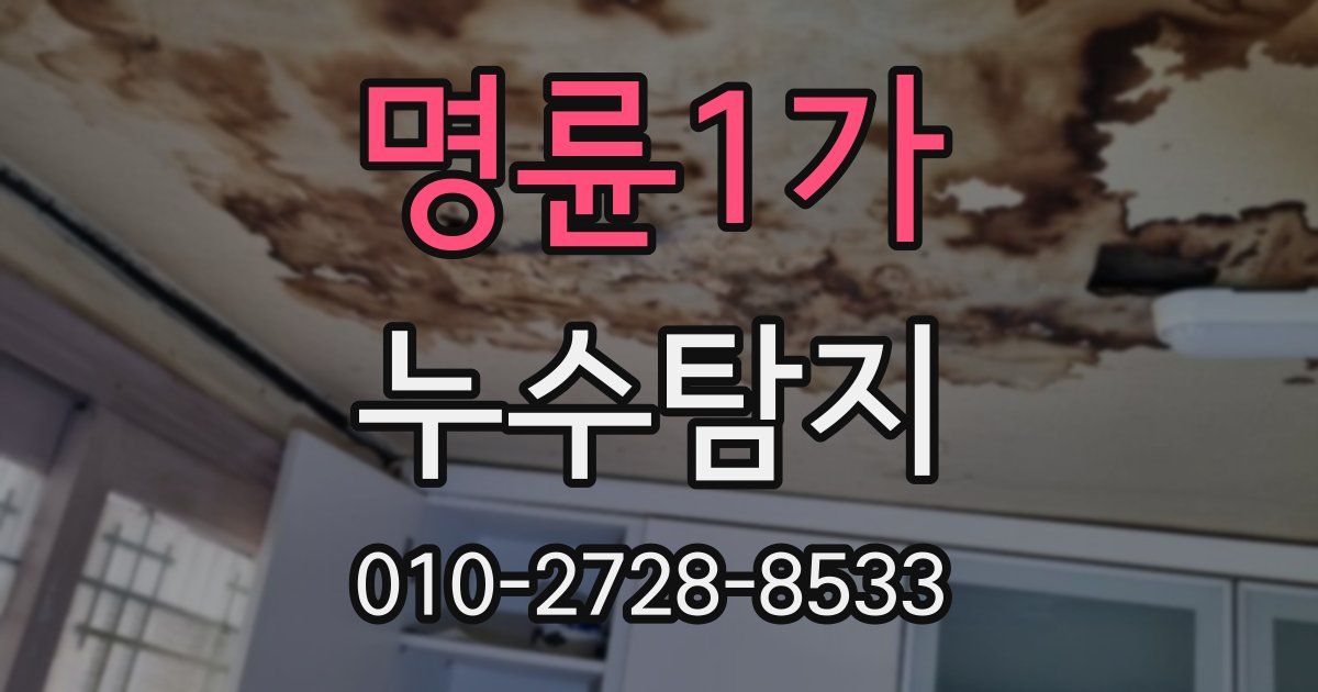 명륜1가 누수공사