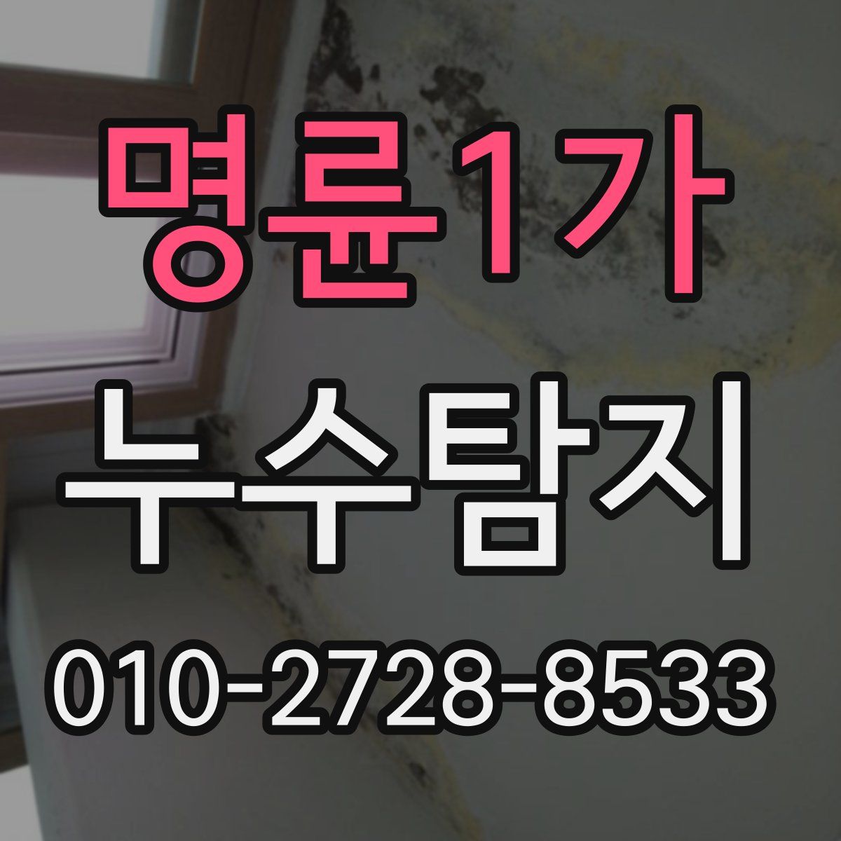 명륜1가 누수탐지