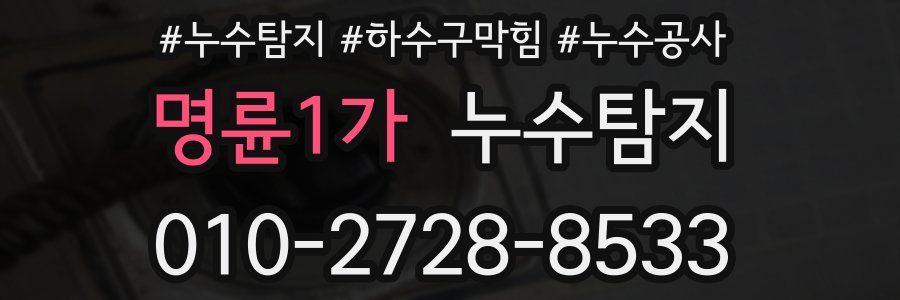 명륜1가 누수탐지업체
