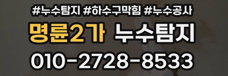 명륜2가 누수탐지업체