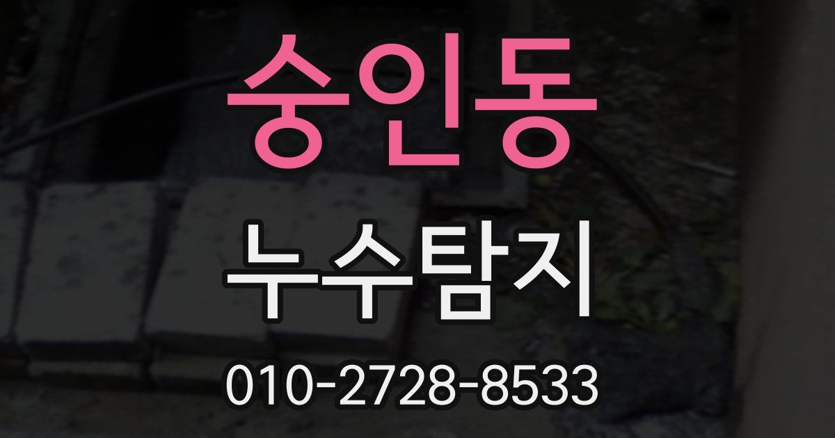 숭인동 누수공사