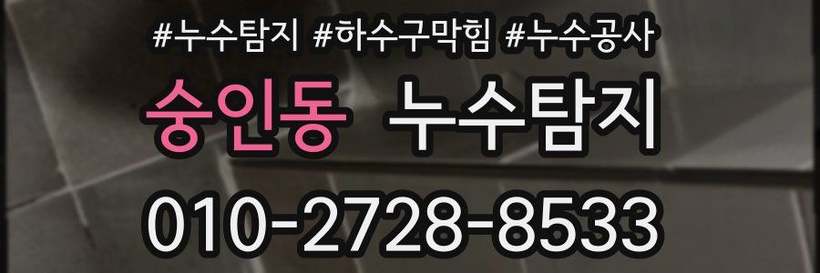 숭인동 누수탐지업체