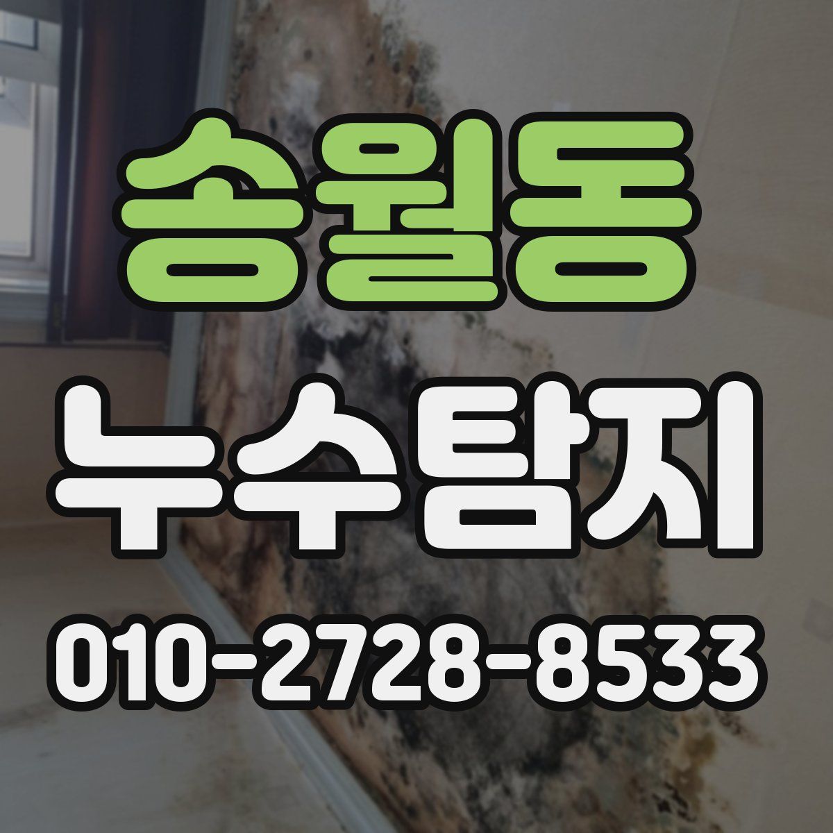 송월동 누수탐지