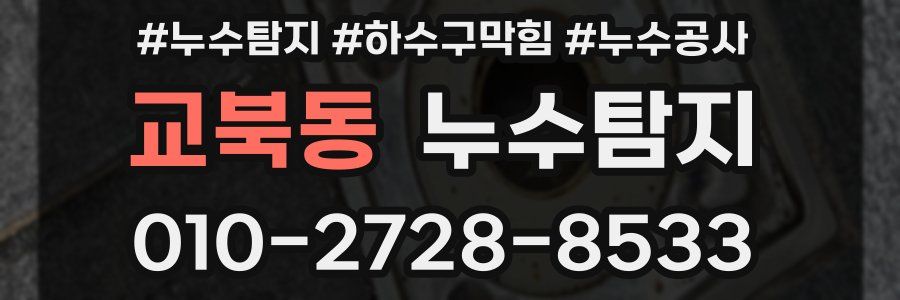 교북동 누수탐지업체