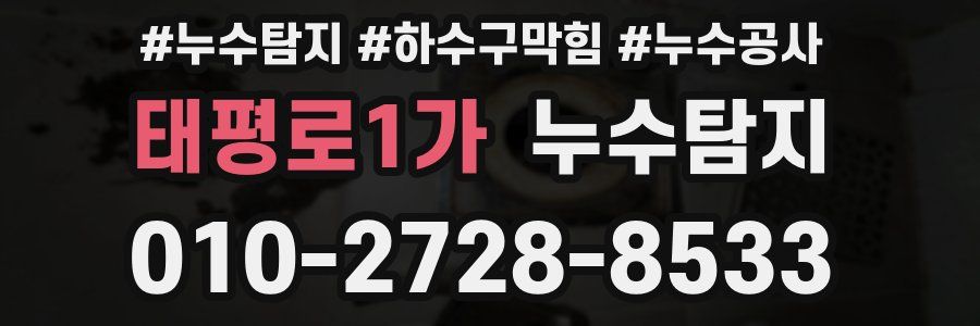 태평로1가 누수탐지업체