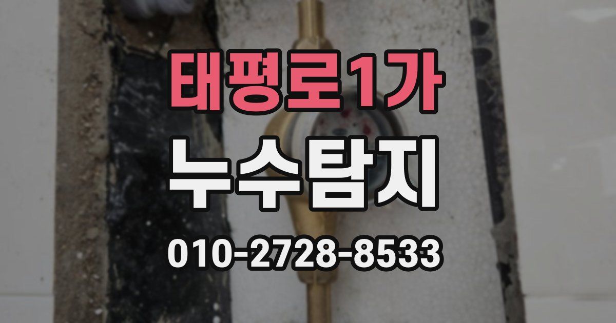 태평로1가 누수공사