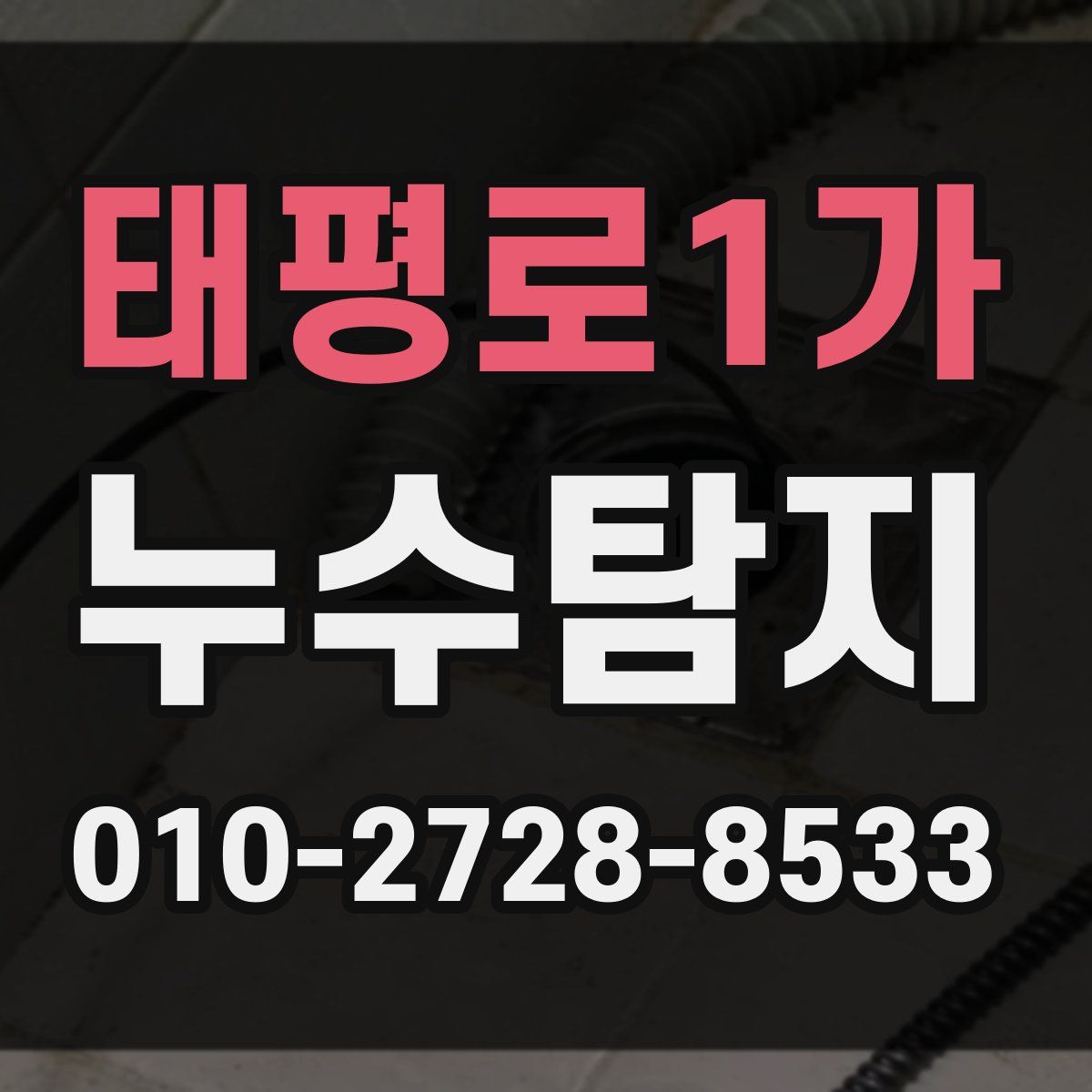태평로1가 누수탐지