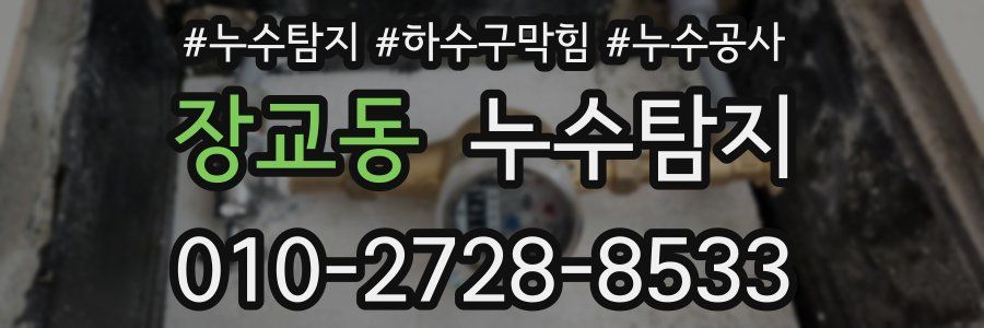 장교동 누수탐지업체