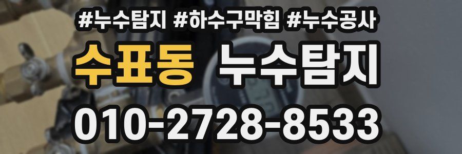 수표동 누수탐지업체
