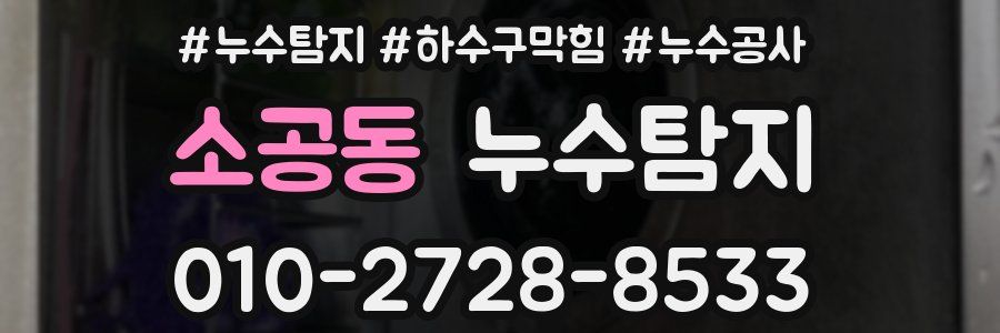 소공동 누수탐지업체