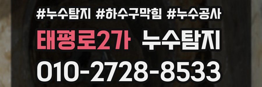 태평로2가 누수탐지업체