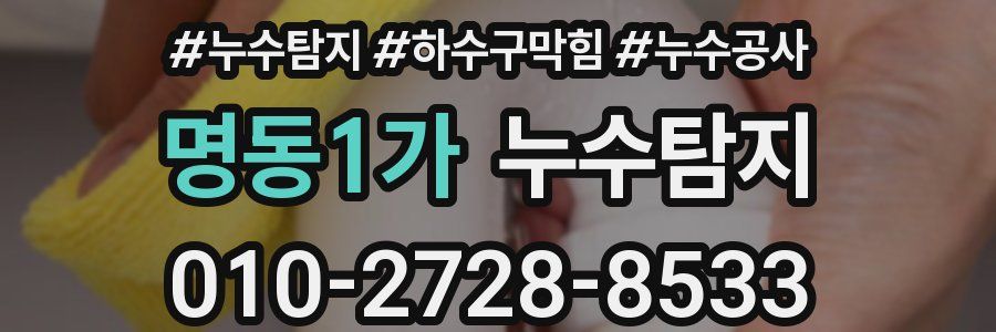 명동1가 누수탐지업체