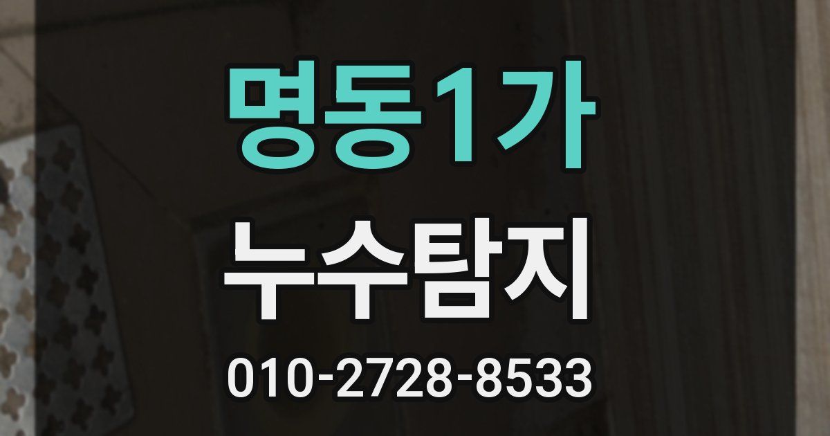 명동1가 누수공사