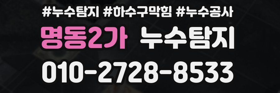 명동2가 누수탐지업체