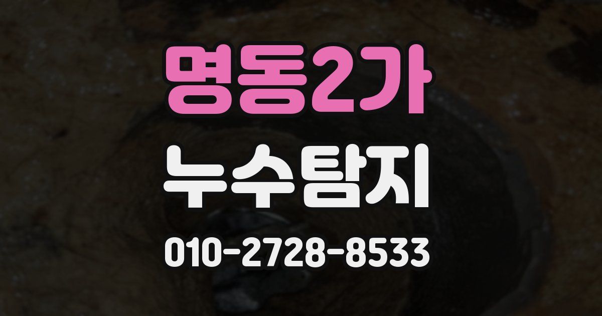 명동2가 누수공사